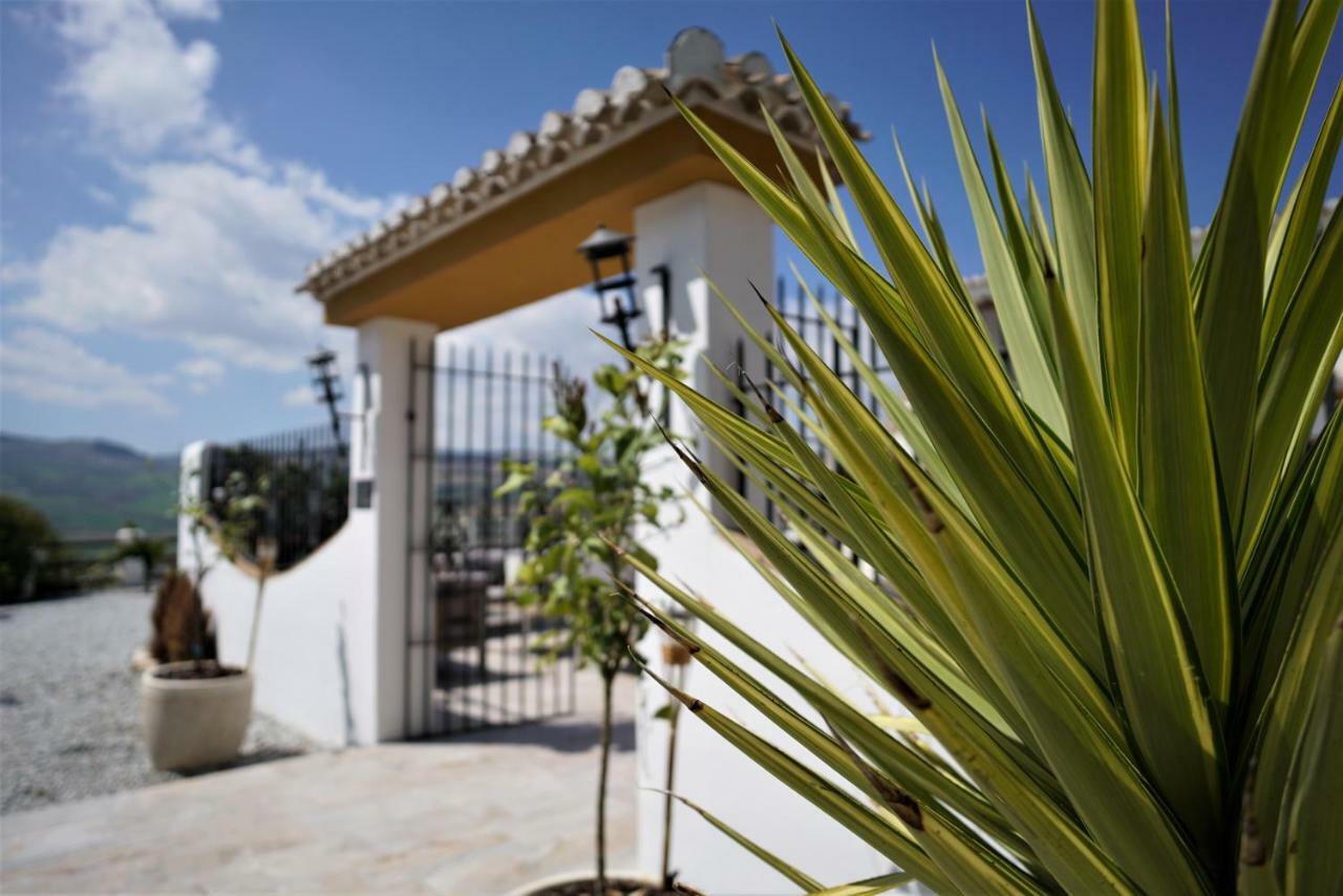 El Amparo Bed & Breakfast Alhama de Granada Eksteriør bilde
